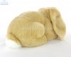 Soft Toy Lop Ear Rabbit by Living Nature (25cm) AN40