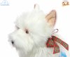 Plush Soft Toy West Highland Terrier Dog, Wallace, by Faithful Friends (28cm)H FWH07