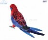 Soft Toy Bird, Crimson Rosella by Hansa (40cm) 8222