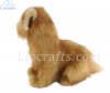 Soft Toy Dog, Norfolk Terrier by Hansa (23cm) 4126