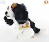 Soft Toy Cavalier King Charles Spaniel, Tri Colour, by Faithful Friends (14cm)H SD003