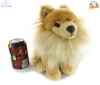 Soft Toy Pomeranian Puppy Dog by Faithful Friends (25cm)H FPOM03
