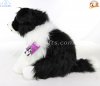 Soft Toy Robbie Border Collie by Faithful Friends (28cm)H FBC07