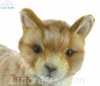 Soft Toy Ginger Tabby Cat by Hansa (25cm.H) 7178