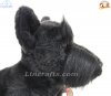 Soft Toy Dog, Scottish Terrier by Faithful Friends (23cm)H FD018