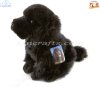 Soft Toy Newfoundland Puppy Dog by Faithful Friends (25cm)H FNE03