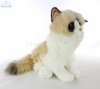 Soft Toy Ragdoll Cat by Living Nature (25cm)H AN567