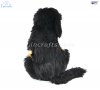 Soft Toy Dog, Bernese Pup by Hansa (56cmL) 6855
