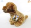 Soft Toy Border Terrier by Faithful Friends (23cm)H FBT03