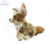 Soft Toy Fennec Fox by Living Nature (28cm)  AN716