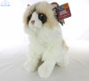 Soft Toy Ragdoll Cat by Living Nature (25cm)H AN567