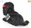 Soft Toy Dog, Black Poodle by Faithful Friends (23cm)H FBP03