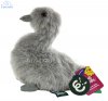 Soft Toy Cygnet, baby swan, by Living Nature (17cm) AN669