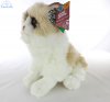 Soft Toy Ragdoll Cat by Living Nature (25cm)H AN567