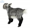 Soft Toy Dwarf Goat by Hansa (34cm) 7011