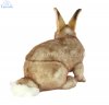 Soft Toy Bunny by Hansa (30cmL) 7797