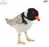 Soft Toy Bird, Hooded Plover by Hansa (20cm.L) 7888