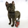 Soft Toy Bombay Cat by Hansa (36cm) 7027