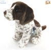 Soft Toy German Shorthaired Pointer Puppy Dog by Faithful Friends (25cm)H FGSP03
