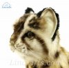 Soft Toy Wildcat, Leopard Cat Shihu by Hansa (20cm) 7739