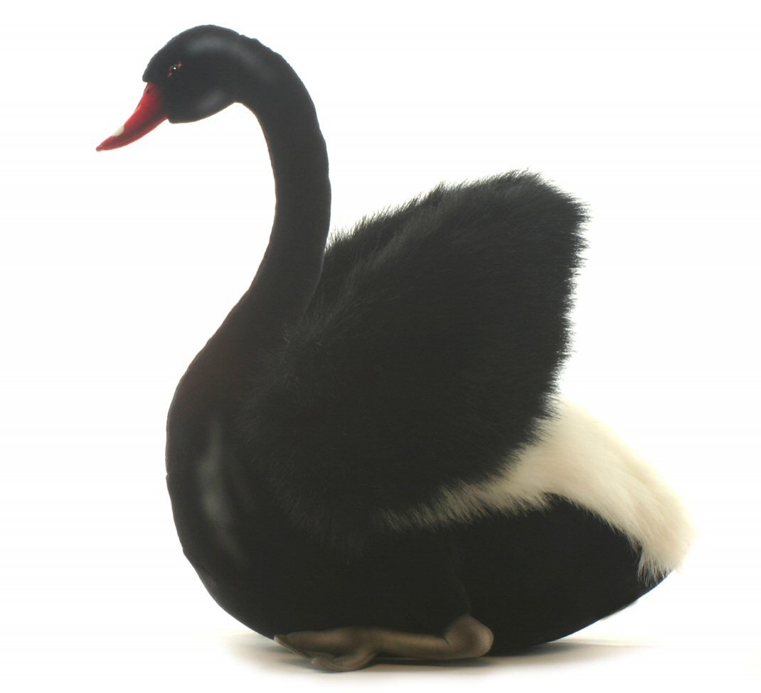 Black Swan : vinyl miniature toy animal 75341 Australia Science & Nature 