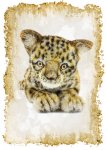 digital art, birthday, greeting, card, anniversary, congratulations, leopard, animal art