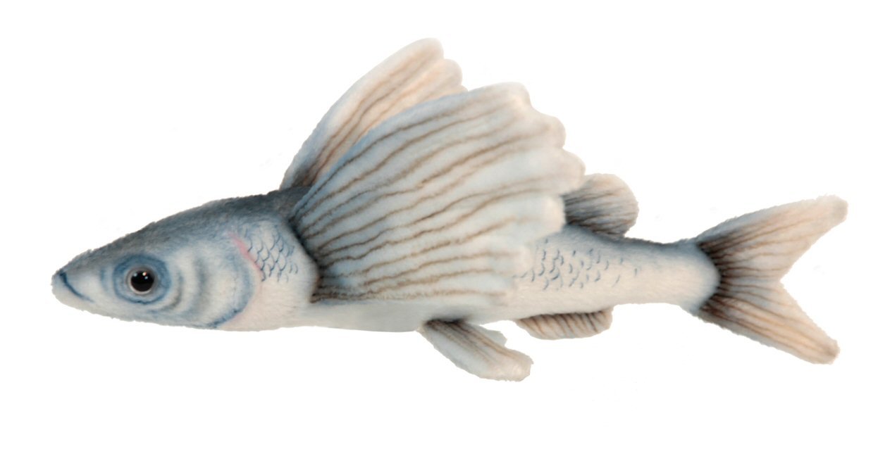 flying fish toy