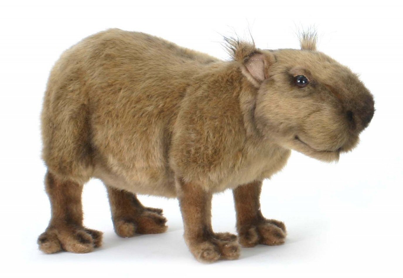 capybara soft toy