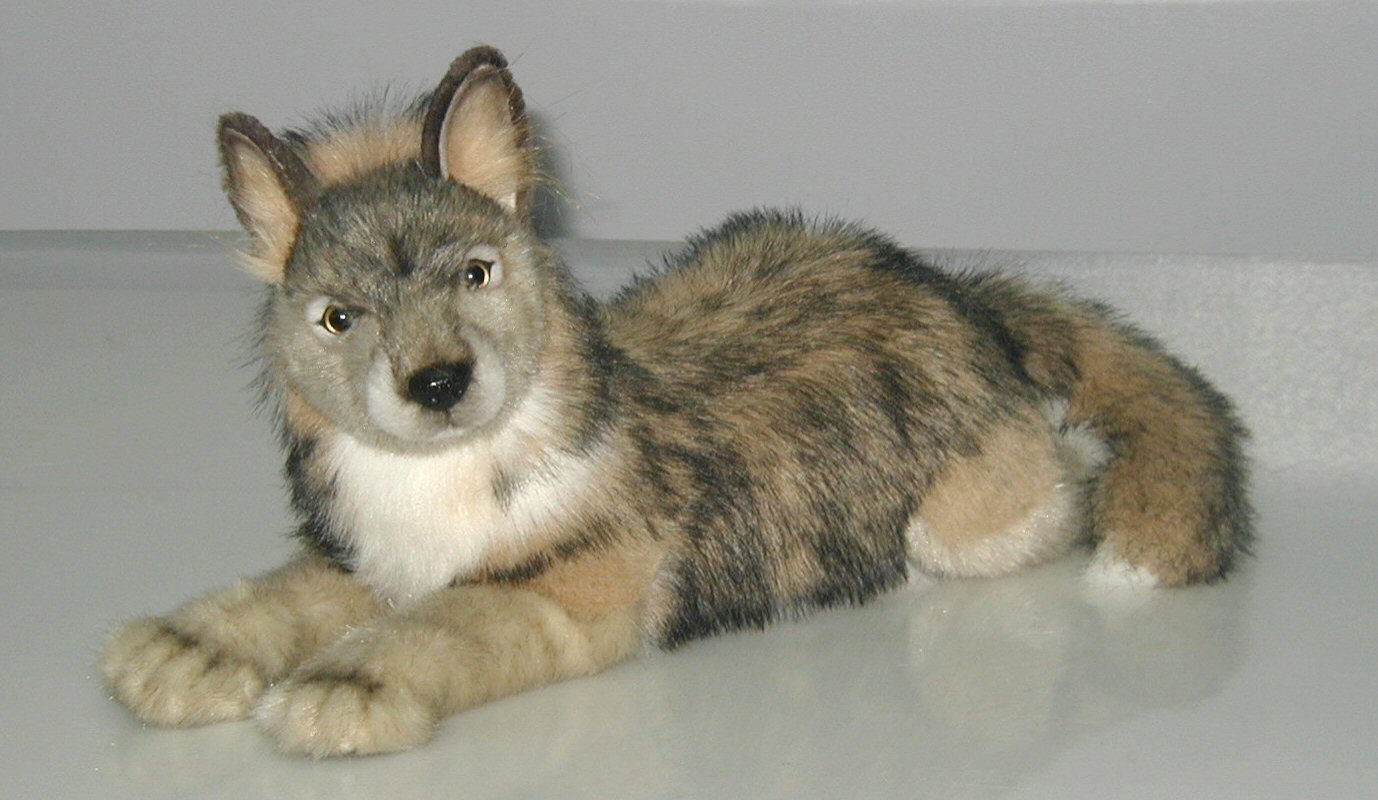 hansa wolf