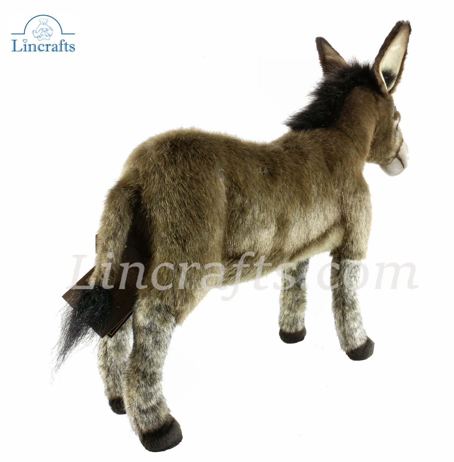 hansa donkey