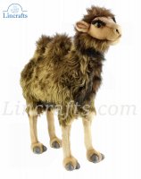 Soft Toy Bactrian Camel by Hansa  (55cm) 4656