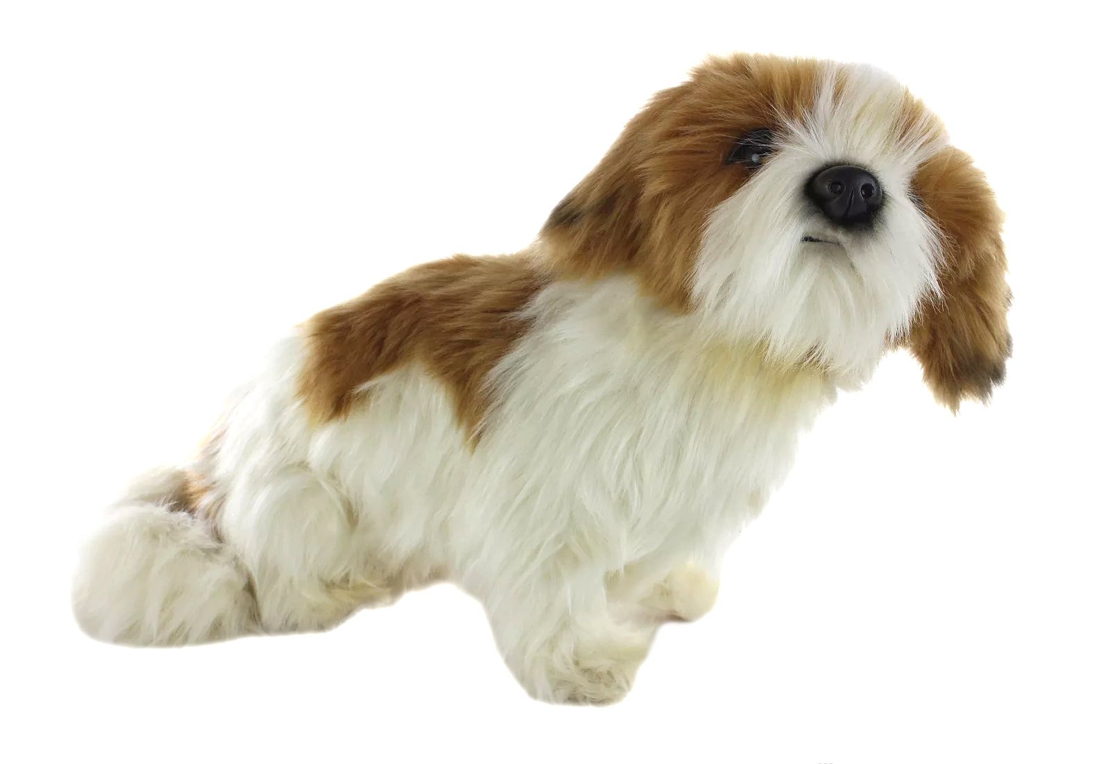 Hansa 7030 11.7 in. Shihtzu Dog