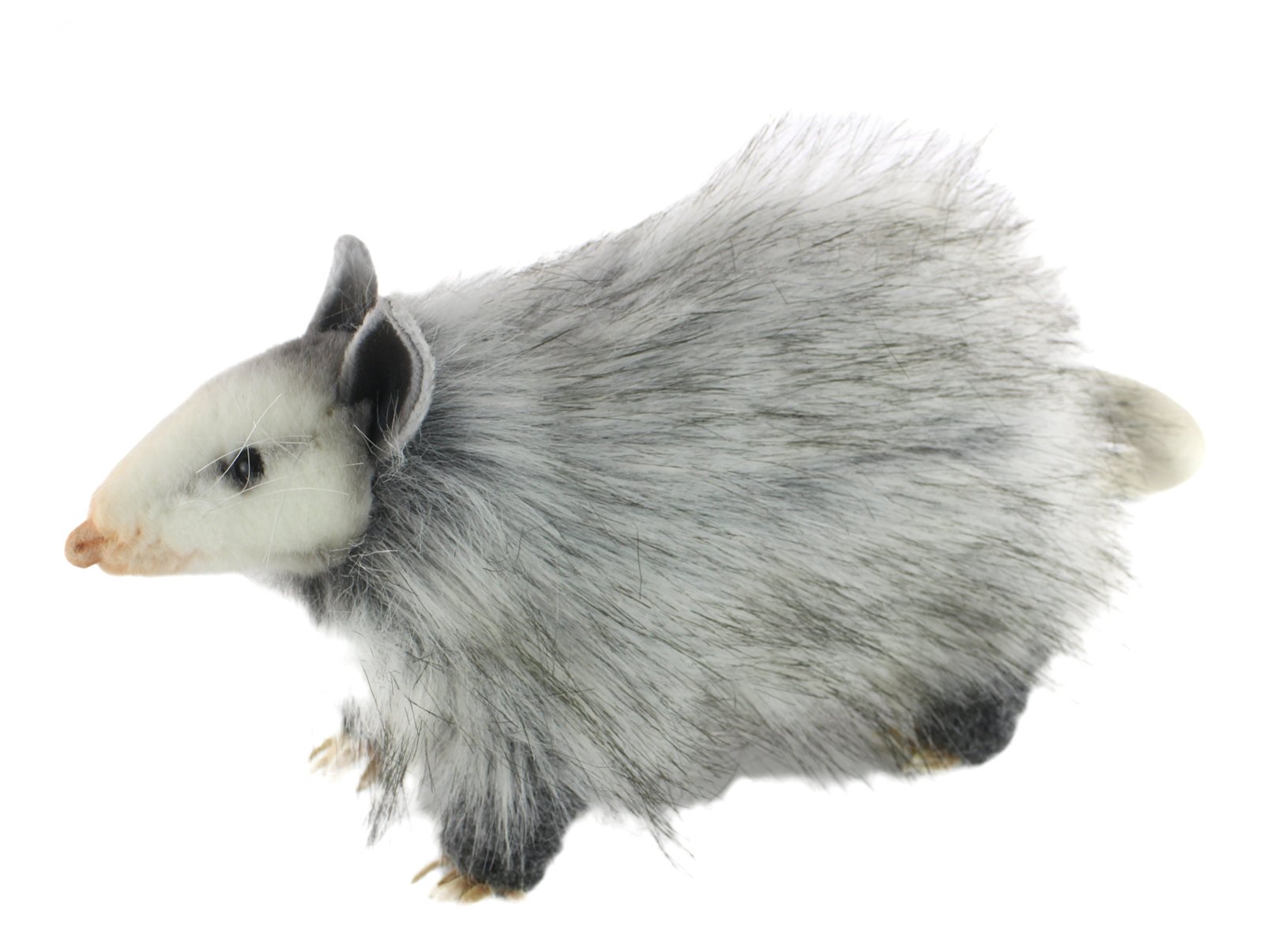 hansa possum