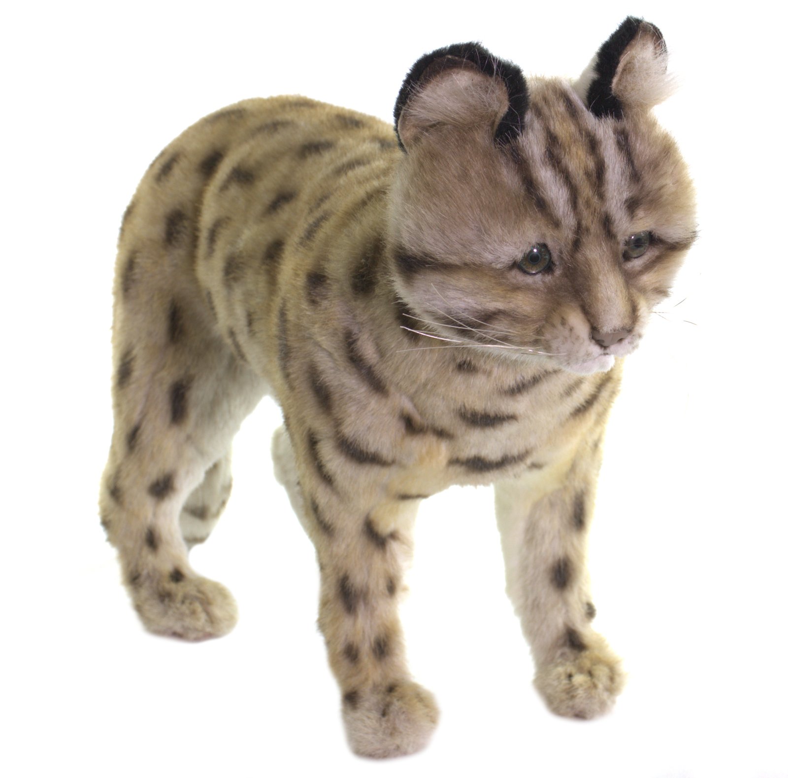 Hansa Leopard Cat Shihu Cub 7739 Soft Toy Sold by Lincrafts Established 1993. 