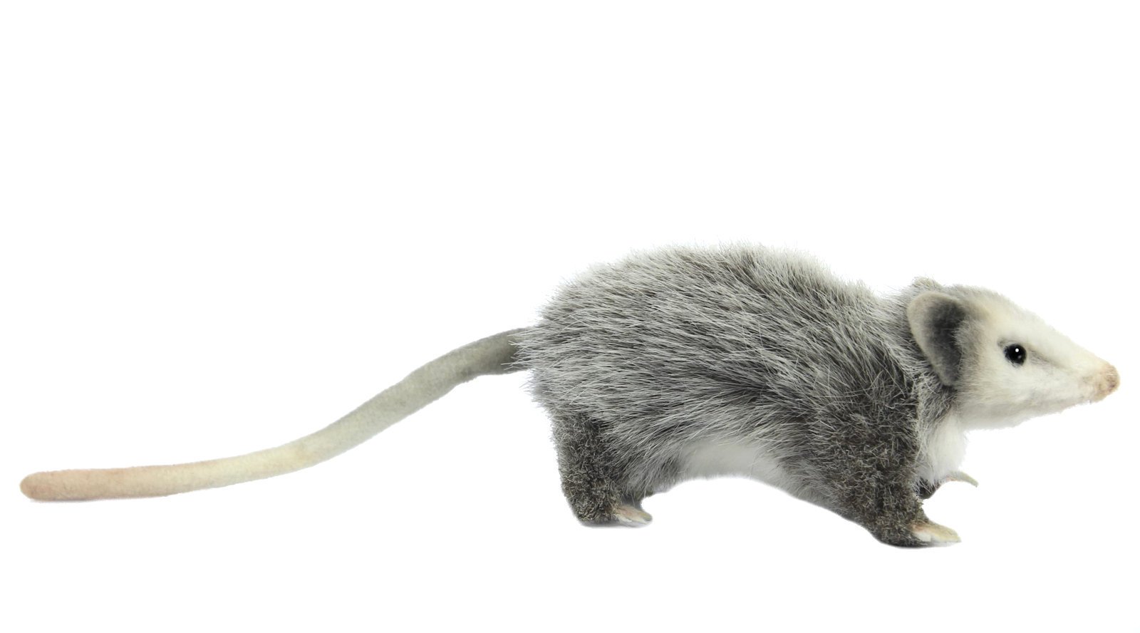 hansa possum