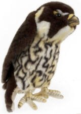 Soft Toy Bird of Prey, Falcon by Hansa (26cm) 3081
