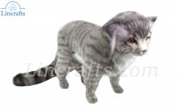 Scottish Wildcat by Hansa (41cm) 7629