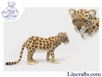 Soft ToyWildcat, Anatolian Leopard by Hansa (45cm) 5157