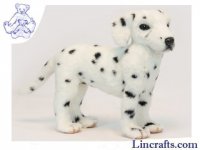 Soft Toy Dog, Dalmatian by Hansa (45cm) 6725