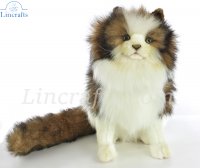 Hansa Fisher Cat 7922 Plush Soft Toy Sold by Lincrafts Established 1993 