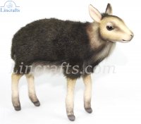 Soft Toy Chevrotain Lesser Mouse Deer by Hansa (26cm.L) 7946