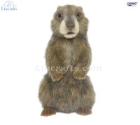 Soft Toy Alpine Marmot by Hansa (29cm) H.8101