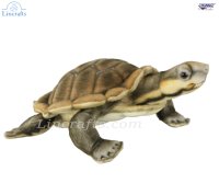 Soft Toy Manning River Turtle by Hansa (28cm) 8426