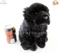 Soft Toy Newfoundland Puppy Dog by Faithful Friends (25cm)H FNE03