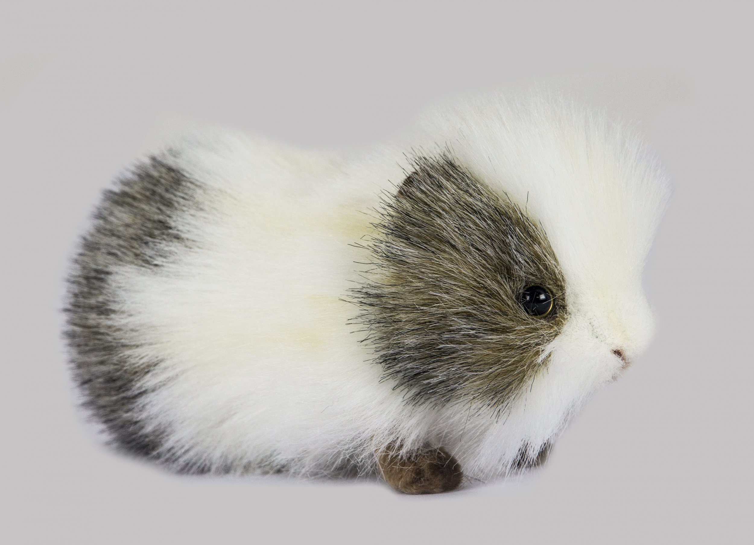 Hansa Grey & White Guineapig 4392 Soft Toy Sold by Lincrafts UK Est.1993