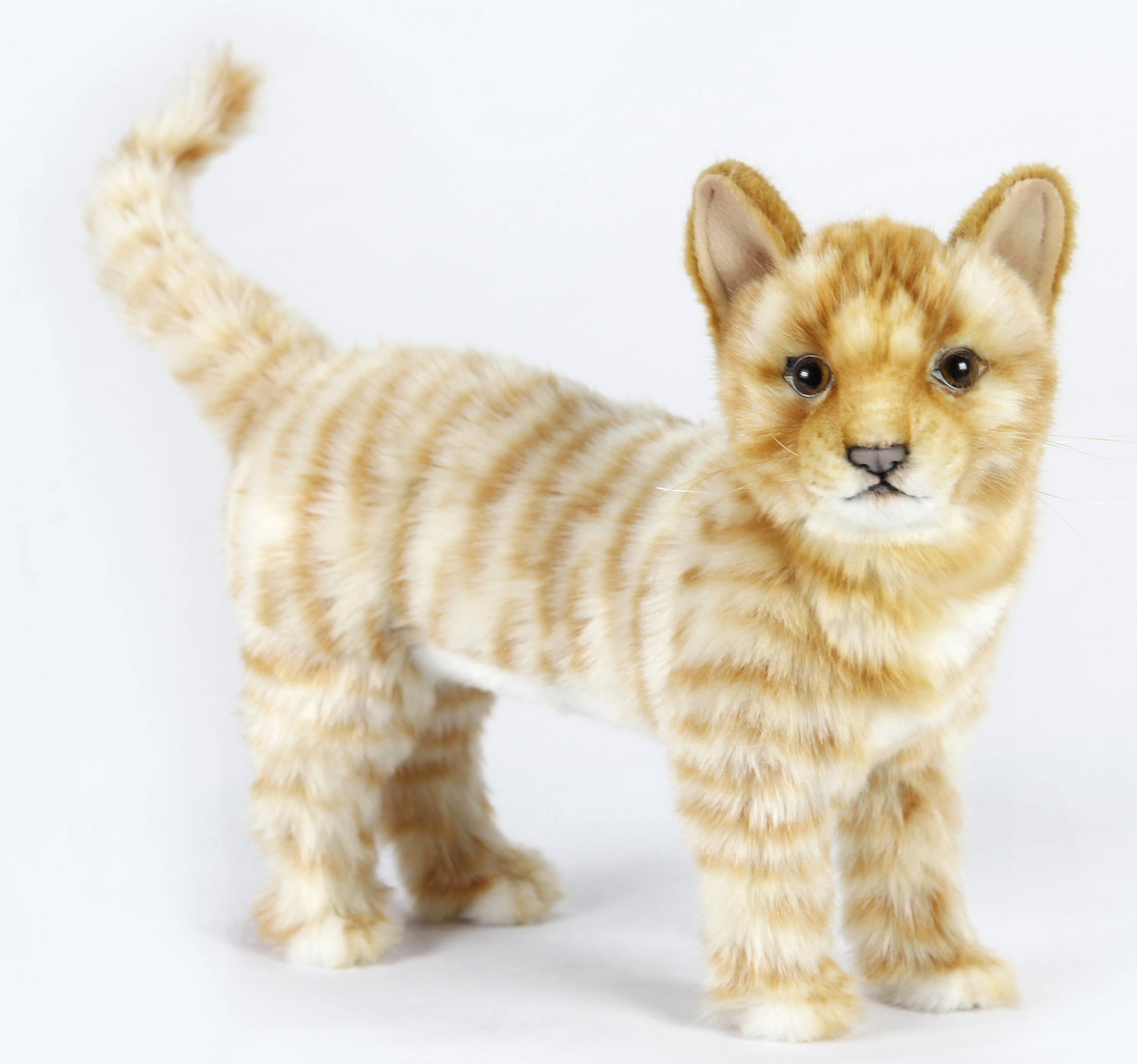 ginger cat cuddly toy