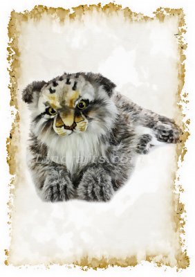 Greeting Card featuring Hansa Soft Toy Pallas Cat. Created by LDA. C24