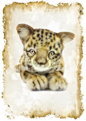 Greeting Card featuring Hansa Soft Toy Leopard. Created by LDA. C19