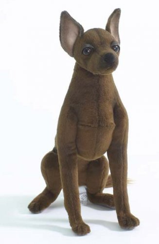 Soft Toy Dog, Xoloitzcuintles by Hansa (23cm) 5375