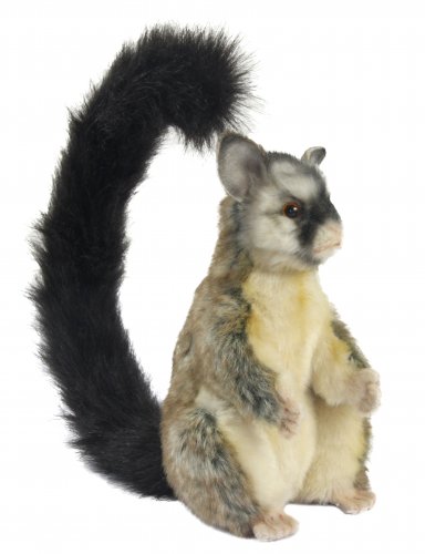 Soft Toy Common Brush Tailed Possum by Hansa (22cm) 6219